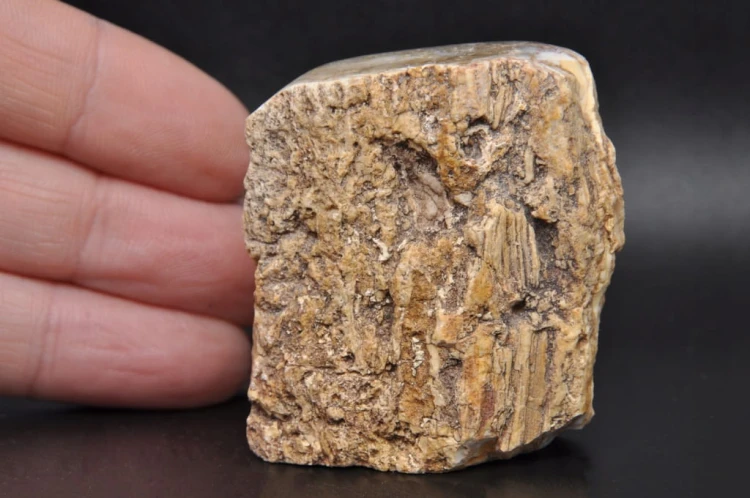 c7d0ac9278d18fe3b9d3932cc9d5d955