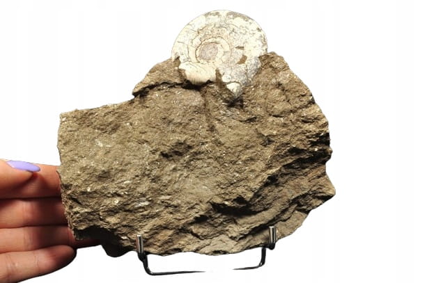 1516f04440f730446a4b65b9ce35d89c