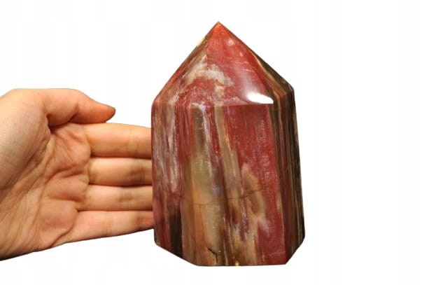 40e39208dcc81a9df7b2f4f1037912ff