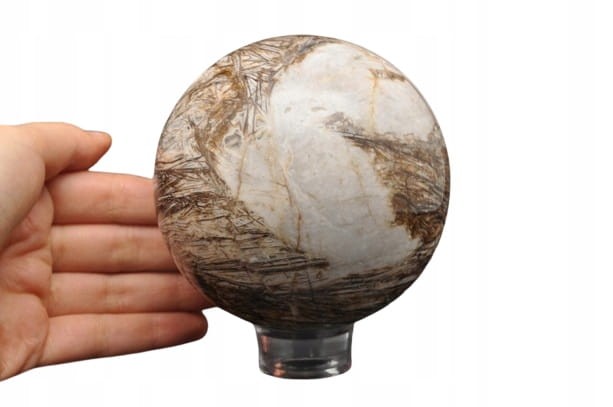 433385f5b93114d2d8af5193f6b3f50a