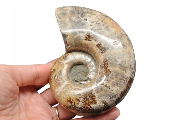 dab26b4be203df7aa3e06b3fa33ef2ab