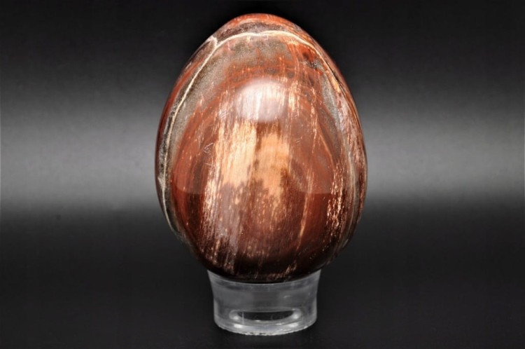 7bdfa08d0fb64a7417dd7e7d8c1c4f95