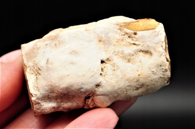 81faf87d96ca373a59681cff9b90ad5e