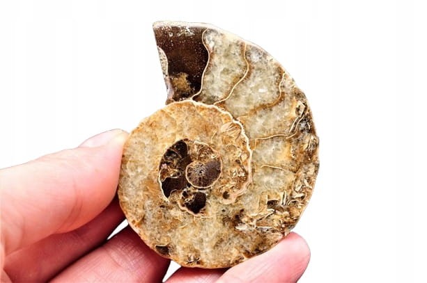 48826e5e031860c2a19717781a094cbb