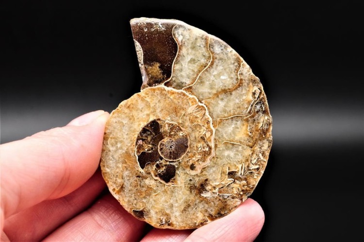 e5afdc33b32d93b2902f73fca8c715e3