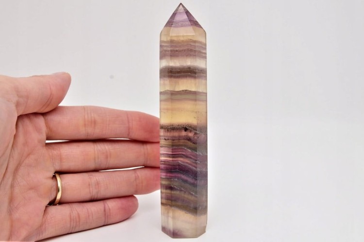 c345568078fbd4317110af811ab31157