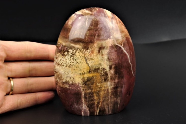 f23c01ac9419cfbb861e3d9ae8f7f29d