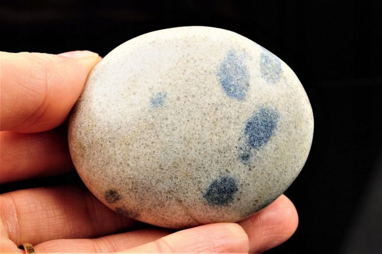 ff1fb1c7348651f37846f8fbbed70307