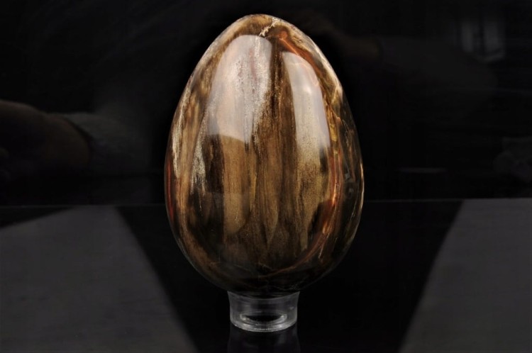 09a51da222eb0ba1333658902b1ca562