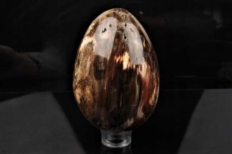 a87c6bb2a78972ab883022c5ce035c2f