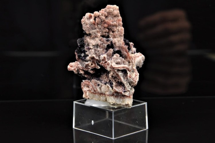 ff4a44d41e7791ba5be4025ca1bd03f9