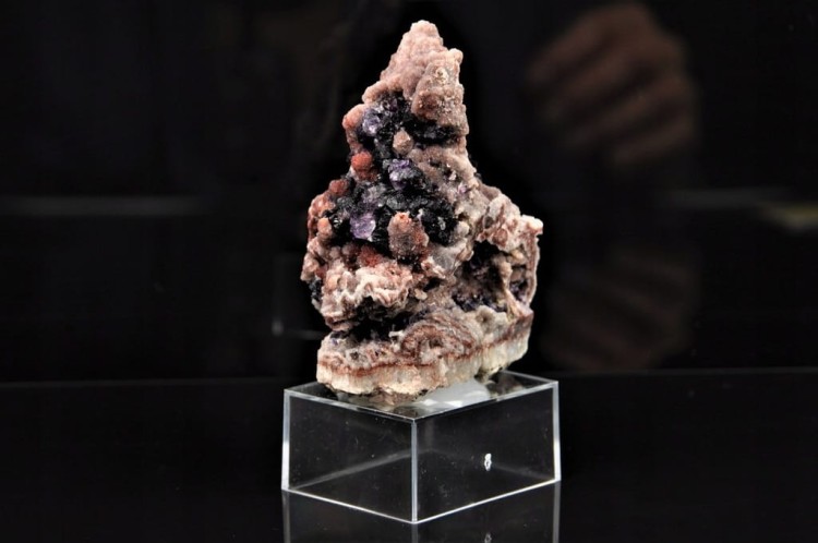 1299d27af168e8d567535dca58c55a27