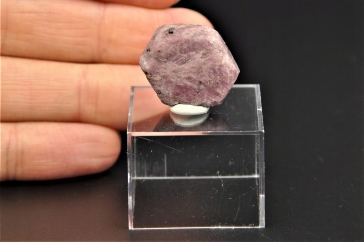 6f26fff6396c6d89616ef4ed591fd847