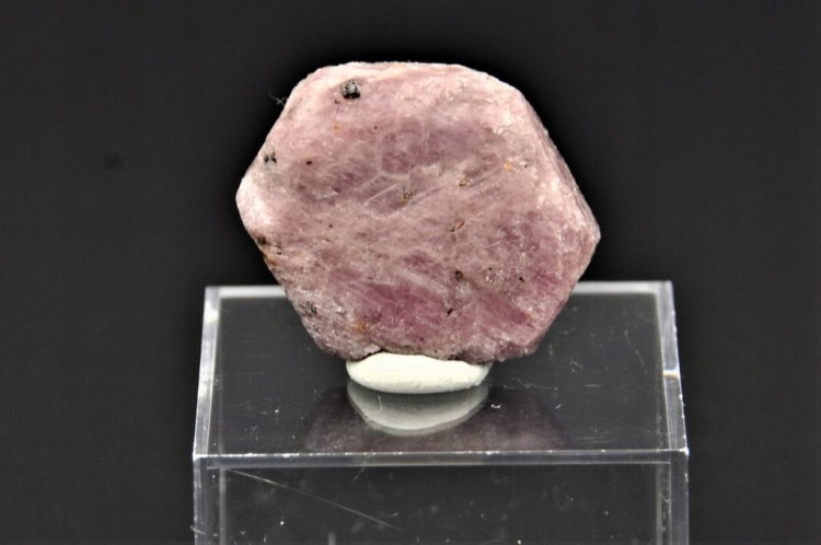 80126377f8fea493443e8bbf0e8190be