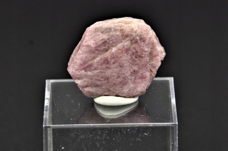 cc5fd75e963dfa939ff0062ad1970a58