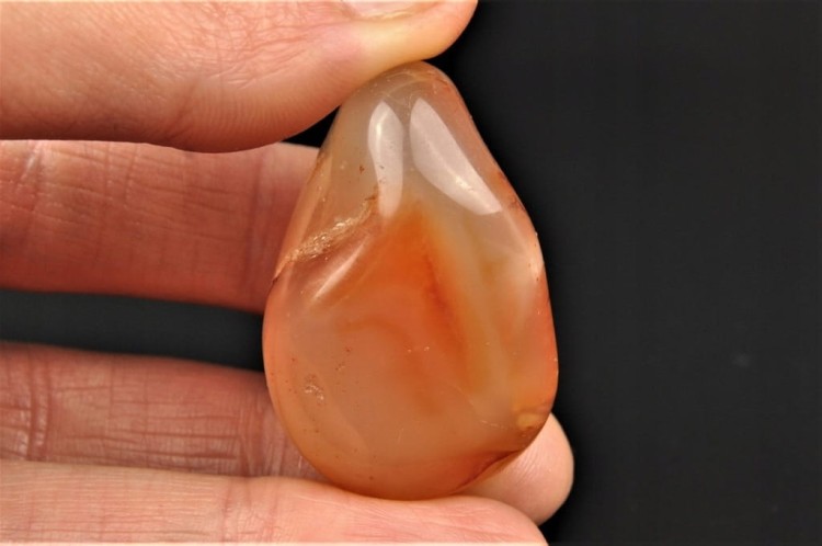 88f88f8a058f317a28748b9a1b956149