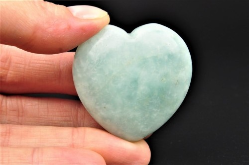 8ec92976dcba6cb805ca412e7497a14f