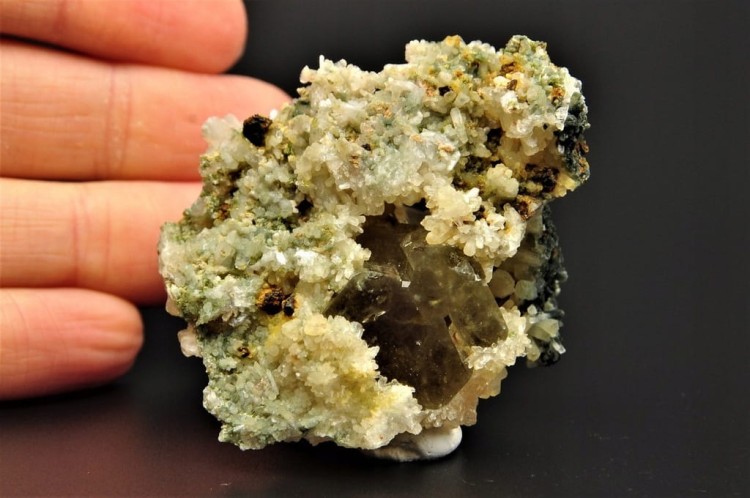 234de925d43bc60ae4620012345a5069