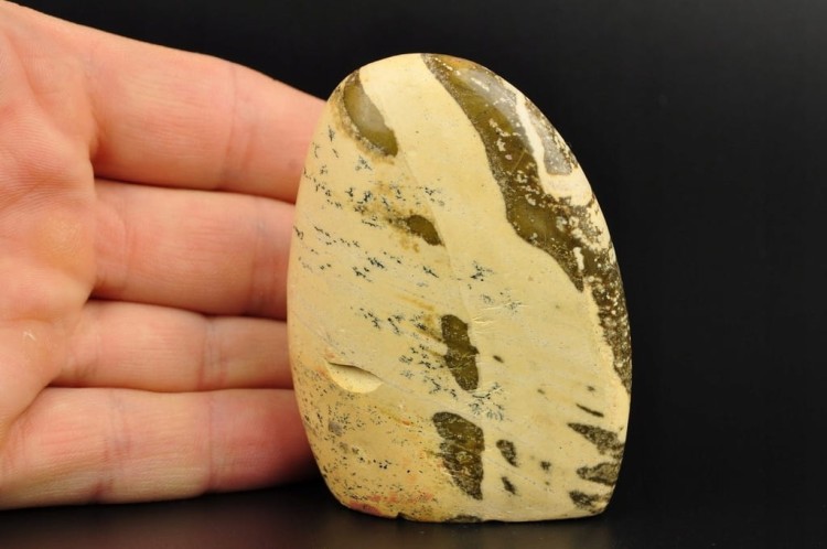 c6ca65c6150443f5017d0996f736518c