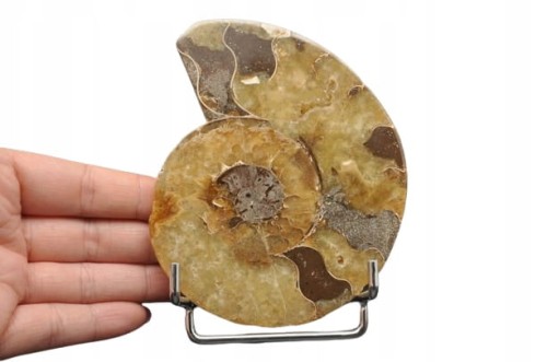 e17a4c8ccb1c5e01ffdcbf781f5ce593