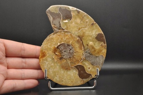 aefa792fce014fd6df26adf963cd272a