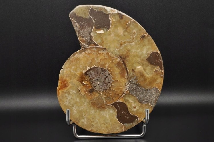 c083cc9397eadeacb09a04043aa41693