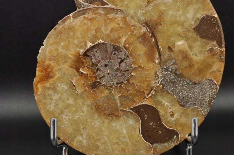 3b4d3b84627d29afcfb916a1c9a7e6de