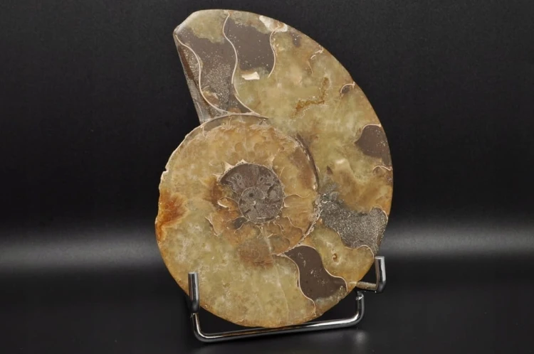 45635259561e5522141735a7348c73d4