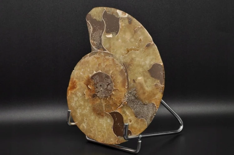 8f8902b7991bd5eb4882875cd8645a71