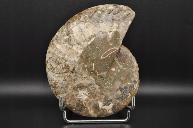 8d9bbff657b5c45a0105a4c841f248a8