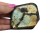 981c7137b50ac33b819a0aa41de51834