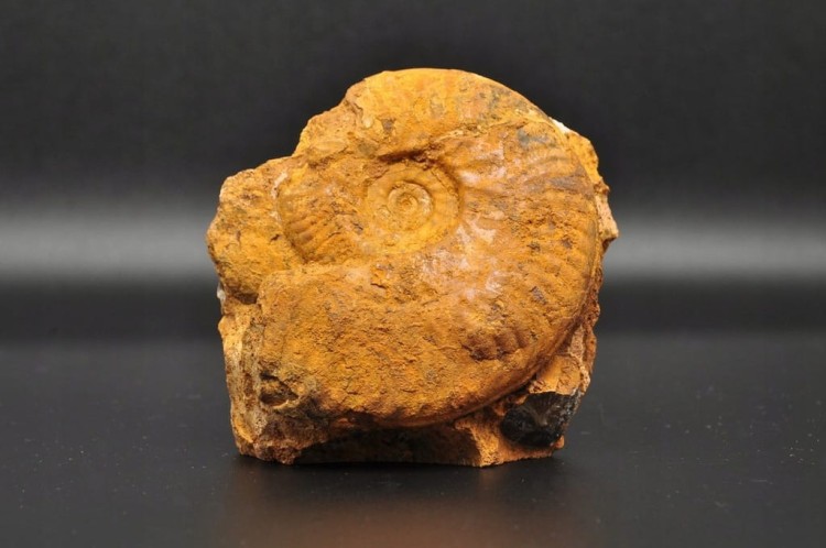 16d88da4d0b5528847007201cfe66051