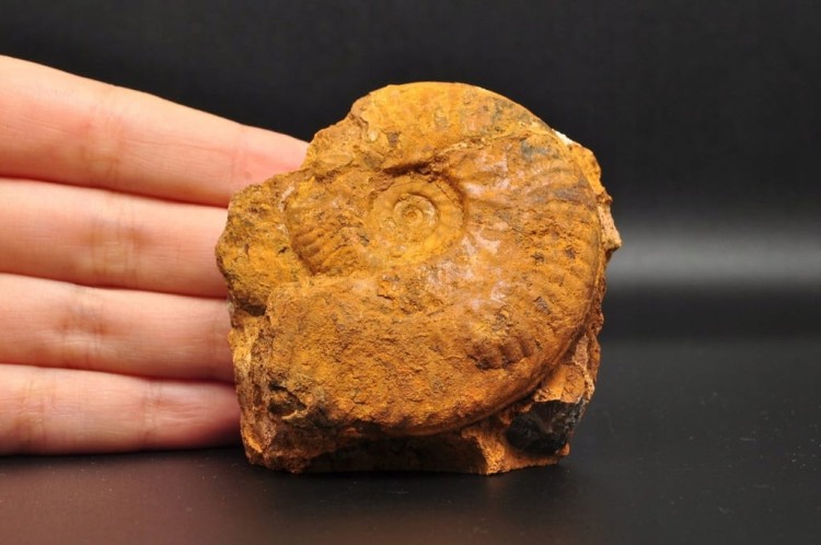 d395dc5b57fe6cb4095345bb61fe2762