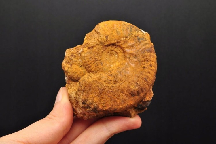 8a479596c3c5856ef93abf9766be8f3d