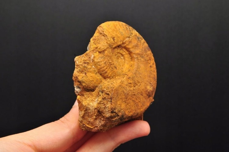 56c0cebafafe1f632b370da81588bb07