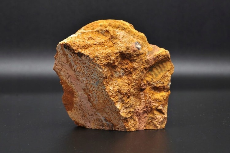 81c8dba772e8ba492d3970aac46a4227