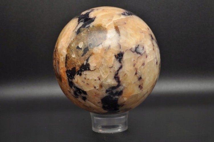 81379a2ae01bdd7ca5fa325cf9918ba0