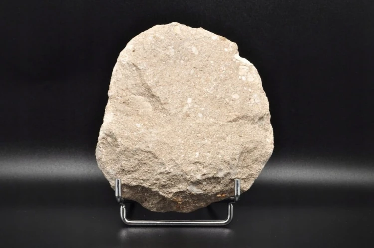 * ZĄB REKINA W SKALE INTERESUJĄCY OKAZ SUPER JAKOŚĆ NR 3 *