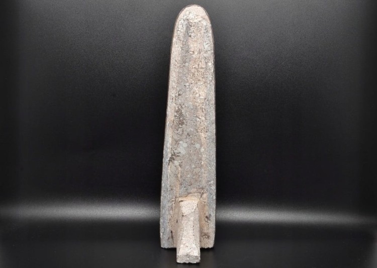 * ORTHOCERAS W SKALE CIEKAWY OKAZ POLEROWANA SKAMIENIAŁOŚĆ NR 1 *