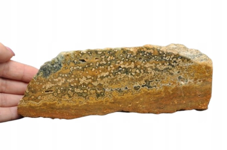 * JASPIS OCEANICZNY ORBIKULARNY PRZEPIĘKNY MINERAŁ NATURALNY OKAZ NR 1 *