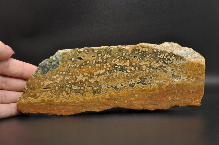 * JASPIS OCEANICZNY ORBIKULARNY PRZEPIĘKNY MINERAŁ NATURALNY OKAZ NR 1 *