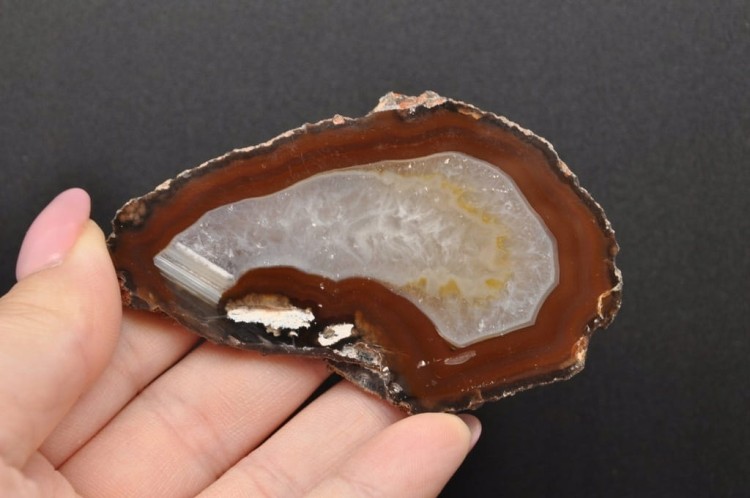 * AGAT BRAZYLIA EKSTRA POŁYSK PLASTER DO KOLEKCJI NR 6 *