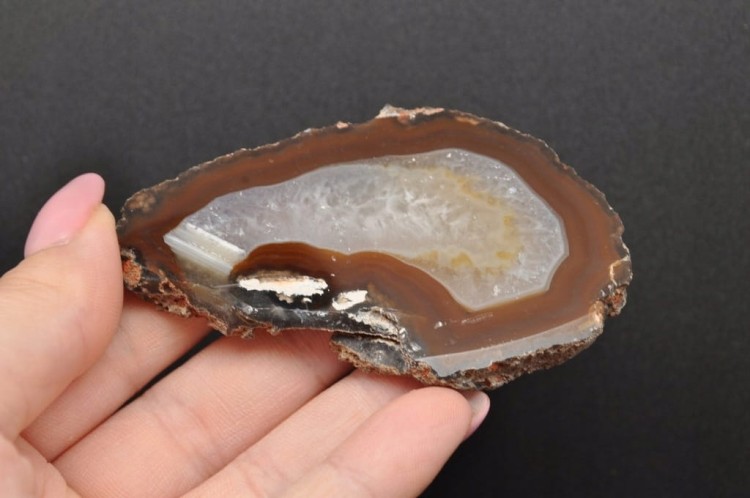 * AGAT BRAZYLIA EKSTRA POŁYSK PLASTER DO KOLEKCJI NR 6 *