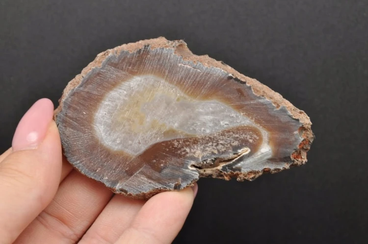 * AGAT BRAZYLIA EKSTRA POŁYSK PLASTER DO KOLEKCJI NR 6 *